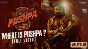 Pushpa 2 is the best box office move of 2024