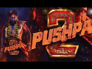 Pushpa 2 is the best box office move of 2024