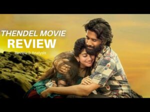 Thandel Movie Review